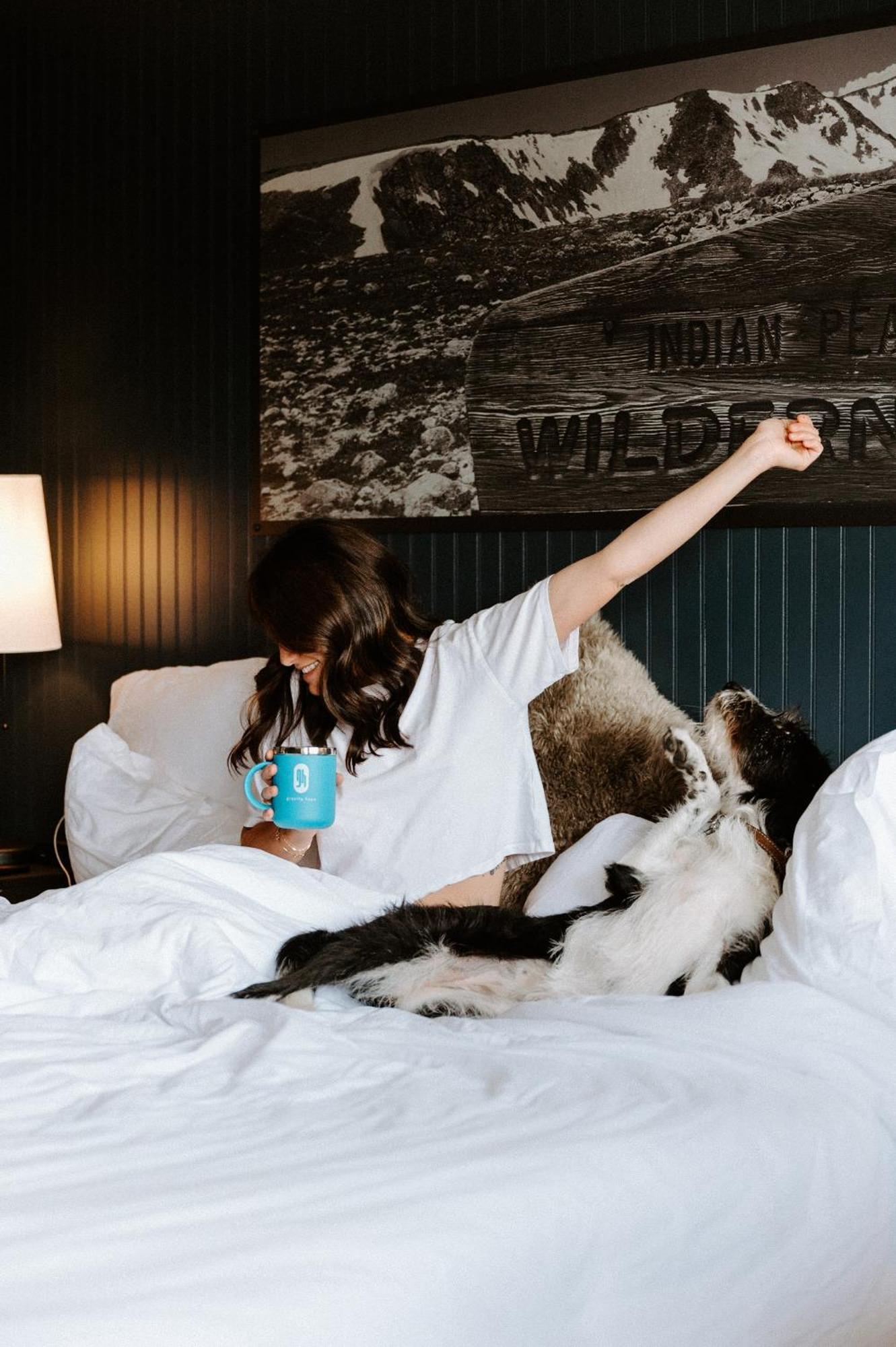 Gravity Haus Hotel 3*
